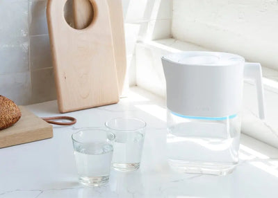 LARQ Pitcher PureVis Hvid LARQ